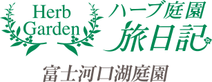 ハーブ庭園 旅日記 富士河口湖庭園