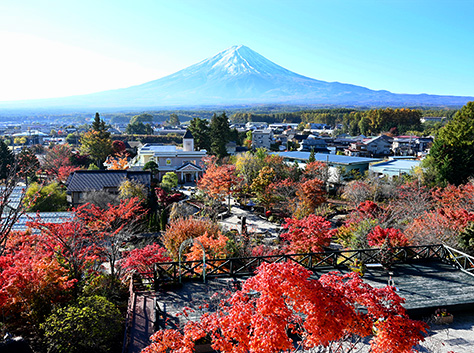 ハーブ庭園 旅日記 富士河口湖庭園_写真1