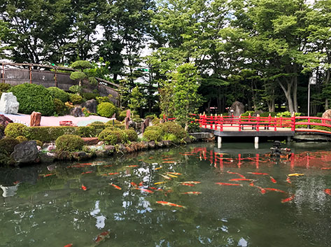 宝石庭園 信玄の里_写真3